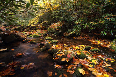 Bear Run