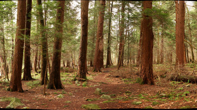 Hemlock Trail Natural Area