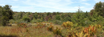 Christner Bog