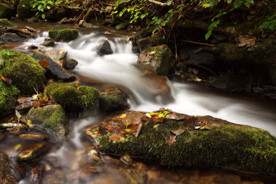 Roaring Run