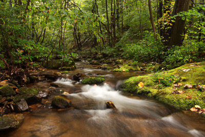 Roaring Run