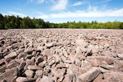 Hickory Run Boulder Field