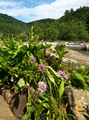 Ohiopyle State Park (Fayette County)