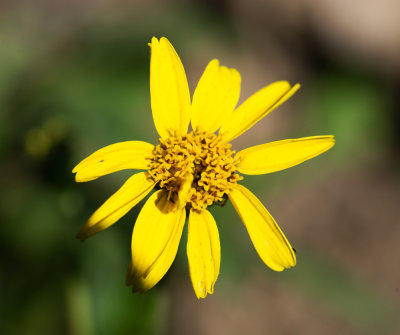DSC_7184cc.jpg