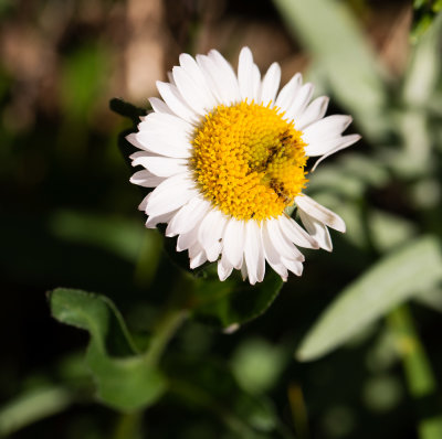 DSC_7909cc.jpg