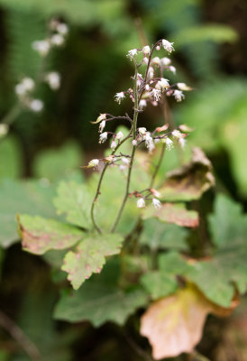 DSC_8304xx.jpg