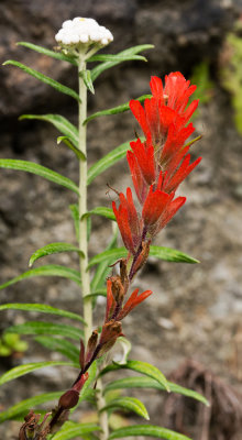 DSC_9189xx.jpg