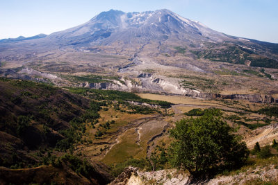 Mt. St. Helens