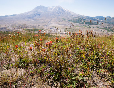 Mt. St. Helens