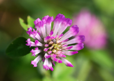 DSC_4845ss.jpg