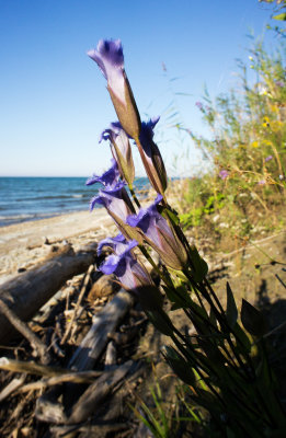 Erie Bluffs State Park (Erie County)