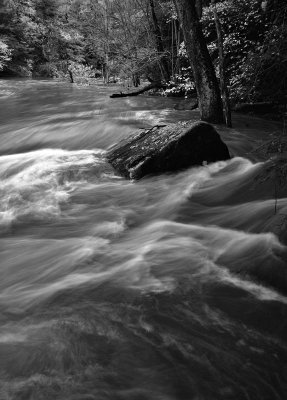 Slippery Rock Creek Flooding