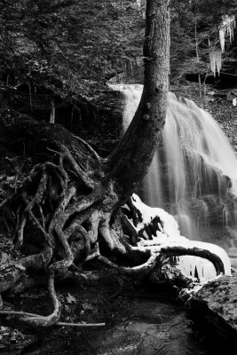 Lower Hell Run Falls