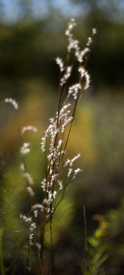 DSC_8473.jpg