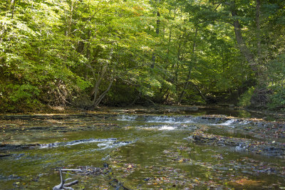 Eight Mile Creek