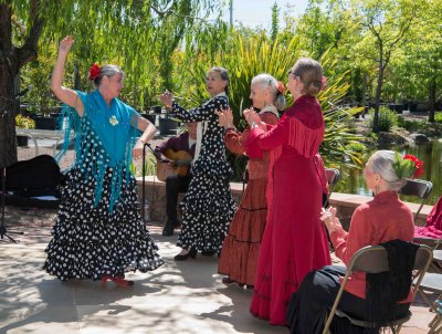 Flamenco 2018