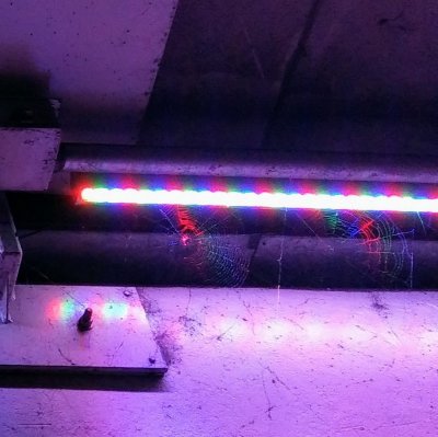 20180928_192951~2.jpg