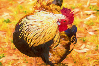 Hen as painting 