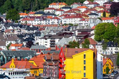 Bergen hillside