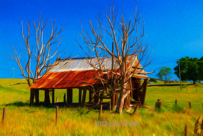 Derelict house in rural Australia