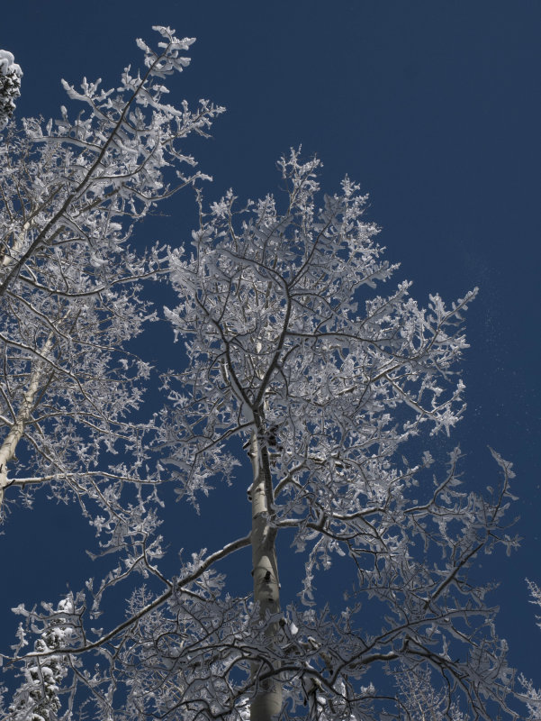 steamboat-9.jpg