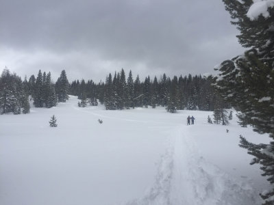 steamboat-21.jpg