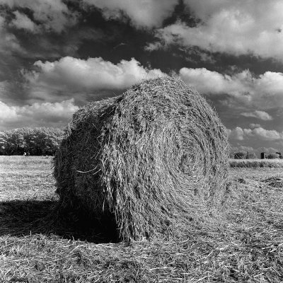 Hay, infrared