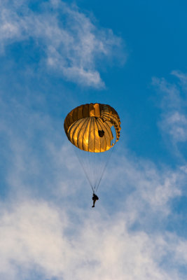 Paratrooper_8100528.jpg