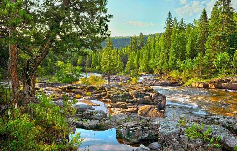 * 116 - Beaver River: Glen Avon Sunny Morning Looking Downstream 