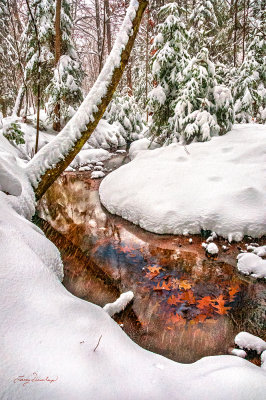 ** 60 - Winter:  Copper Creek In Snow
