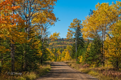 104.3 - Arrowhead Trail Autumn