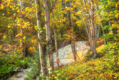 * 76.42 -  Last Creek Cascade Golden Autumn With Birches (Dreamy)  LIC_1176.jpg