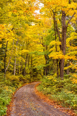 **107.56 -  Grand Portage: Rengo Road, Yellow Path Vertical 