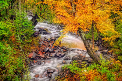 **** 84.42 - Tait River Bend In Autumn 