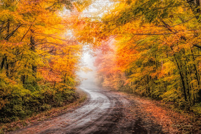 ***86.71 -  Sawtooth Mountains: Colorful Autumn Road On Rainy Day