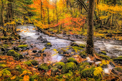 *** 84.85 - Tait River Autumn, Side View 