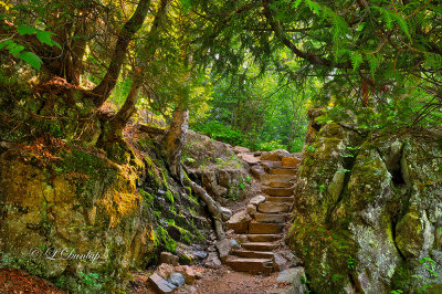  ** 69 - Temperance River Trail Steps 1