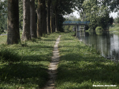 Jaagpad langs de Oude Rijn