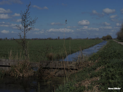 Kockengensche polder