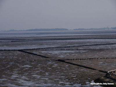 Het wad