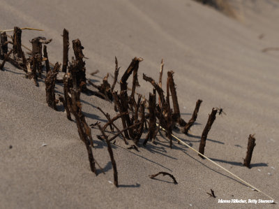 Op het strand
