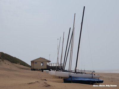 Het strand van Hollum