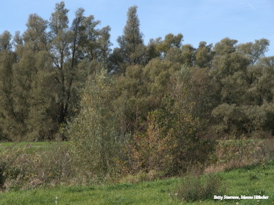 g10/94/836394/3/168299553.57oTJSGN.jpg