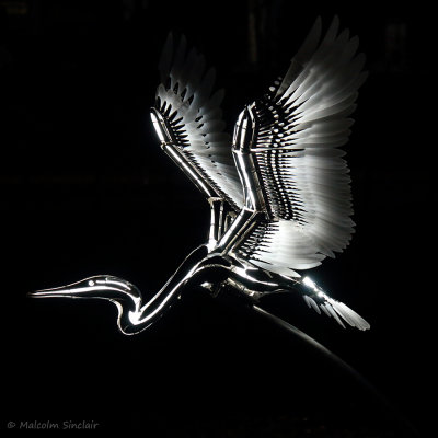 Heron by Jon Voss