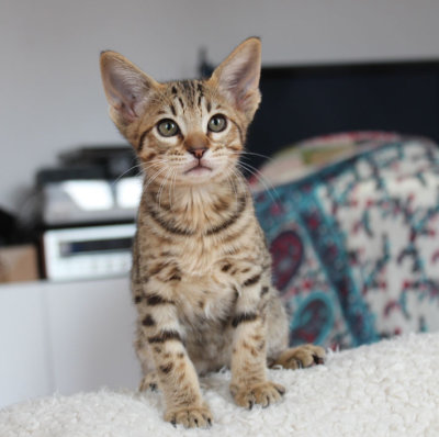 Posing for me