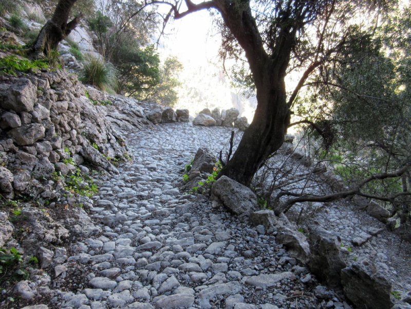 Day 3 Barranc de biniaraix cobbled trail