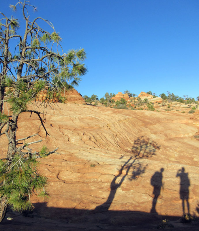  Slickrock above Water Canyon