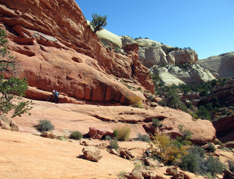 There is a nice scramble slickrock section to gain the rim of the canyon