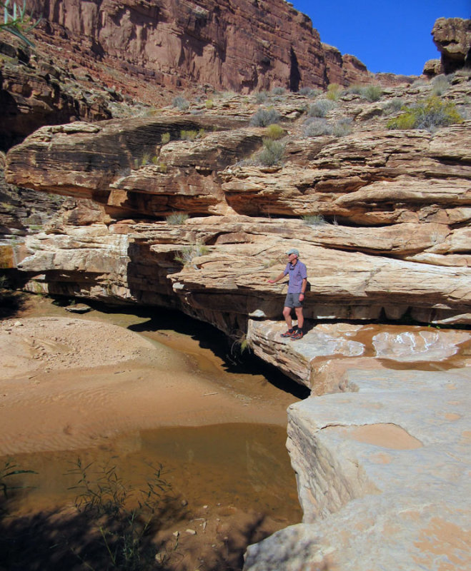 The Slickhorn canyon floor gradually rose to the level of our terrace and we were able to drop down to water