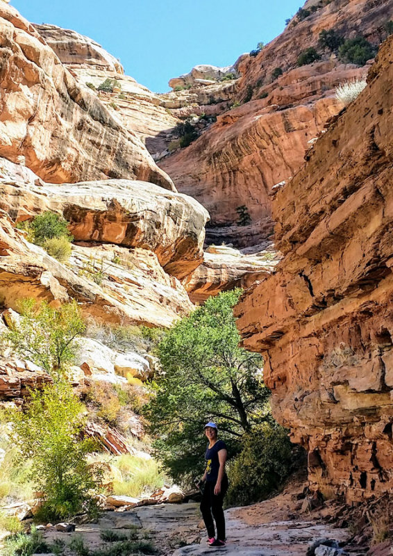 Trail canyon